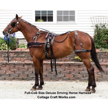 Deluxe Driving Horse Harness Gloss Finish 