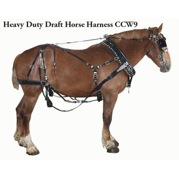 Horses | Heavy Duty Draft Team Work Harness
