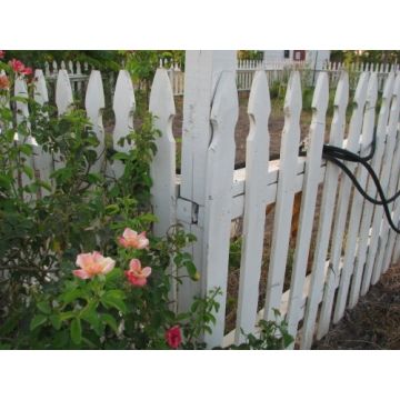 Build a Colonial Williamsburg style picket fence (free info)