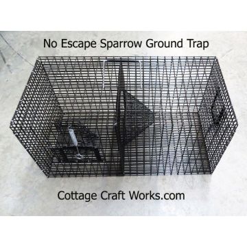 No Escape Sparrow Ground Trap