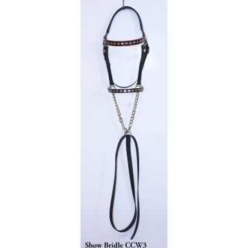 Horses | In hand Show Halter with Lead Shank