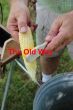 Drill Powered Sweet Corn Cleaner