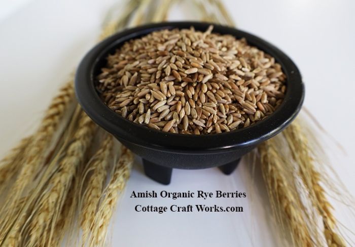 Amish Organic Rye Berries 25 lb