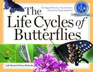 Life Cycles of Butterflies, The