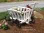 Miniature Goat Wagon