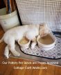 USA Stoneware Pottery | Stoneware Pet Bowls
