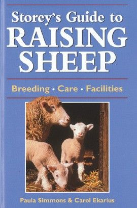 Raising Sheep