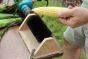 Drill Powered Sweet Corn Silk Remover