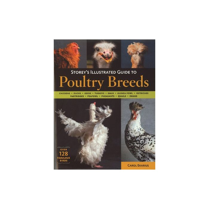 Illustrated Guide to Poultry Breeds