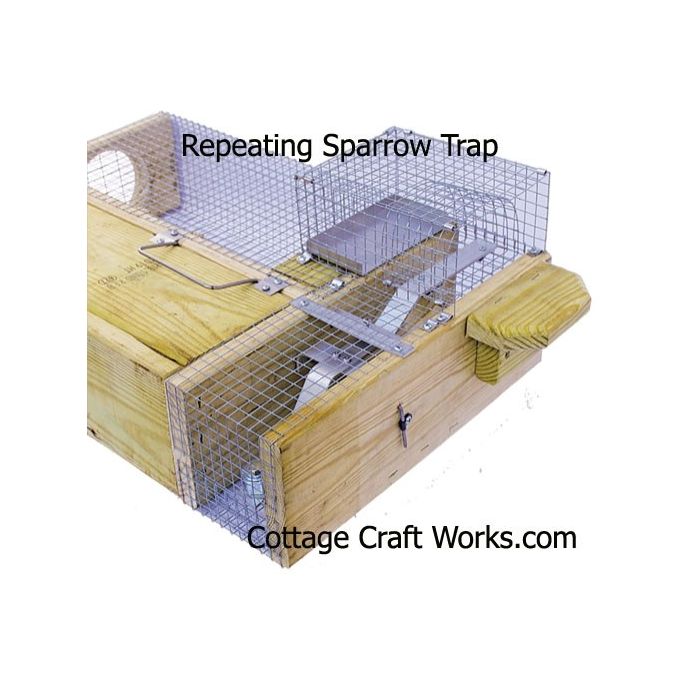 Repeating Sparrow Trap