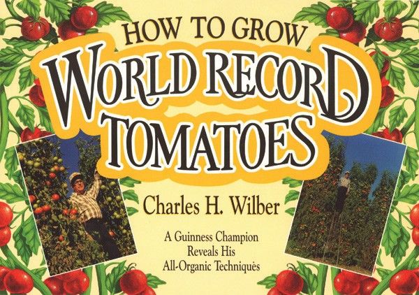 How to Grow World Record Tomatoes