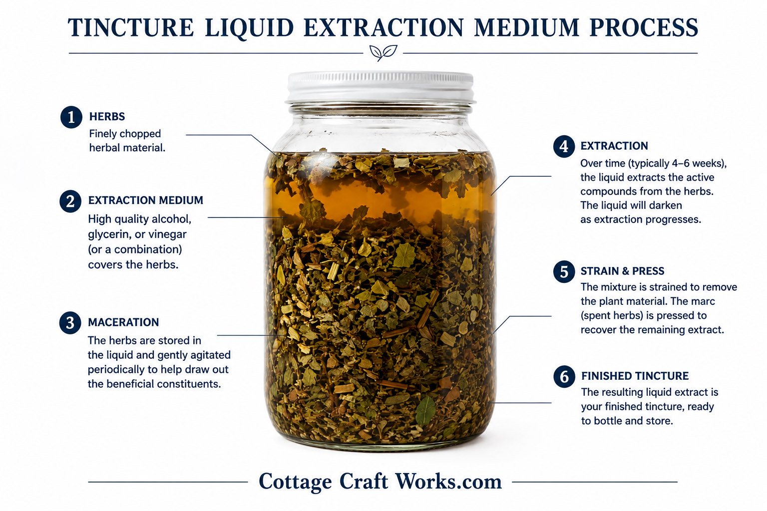 Types of Herbal Tinctures & Botanical Extracts